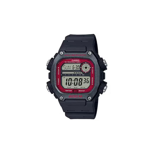 Casio DW-291H