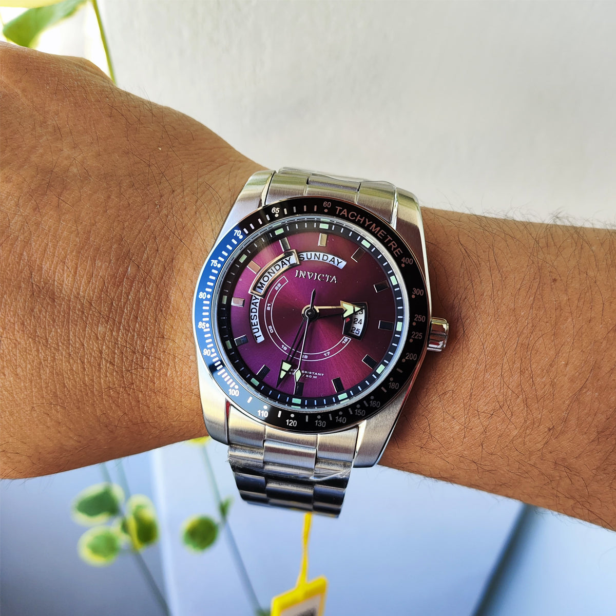 Invicta Specialty 31919